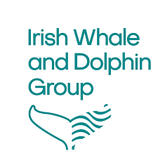 Irish Whale and Dolphin Group logo
