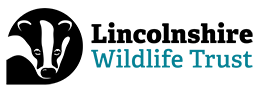 A simple cartoon badger is placed to the left of the organization's name, Lincolnshire Wildlife Trust.