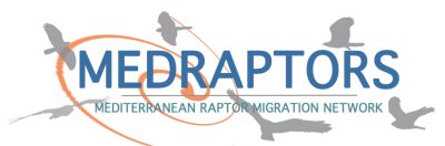 MEDRAPTORS_logo