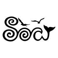 The word "soar" is spelled using imagery of waves, birds, and whale fins.