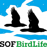 Swedish Ornithological Society logo