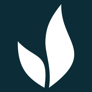 Velvetwire Logo