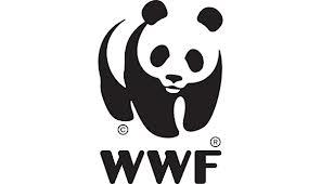 World Fund (WWF) | Tethys