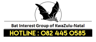Bats KZN Logo