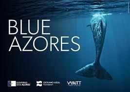 The image displays a whale