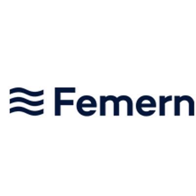 Femern logo