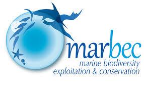The image displaces a water bubble with sea creatures in it and the words "marbec marine biodiversity exploration and conservation"