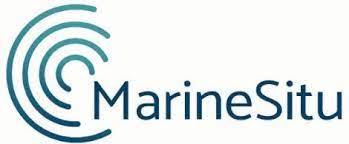 MarineSitu Logo