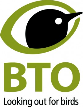 Robin  BTO - British Trust for Ornithology